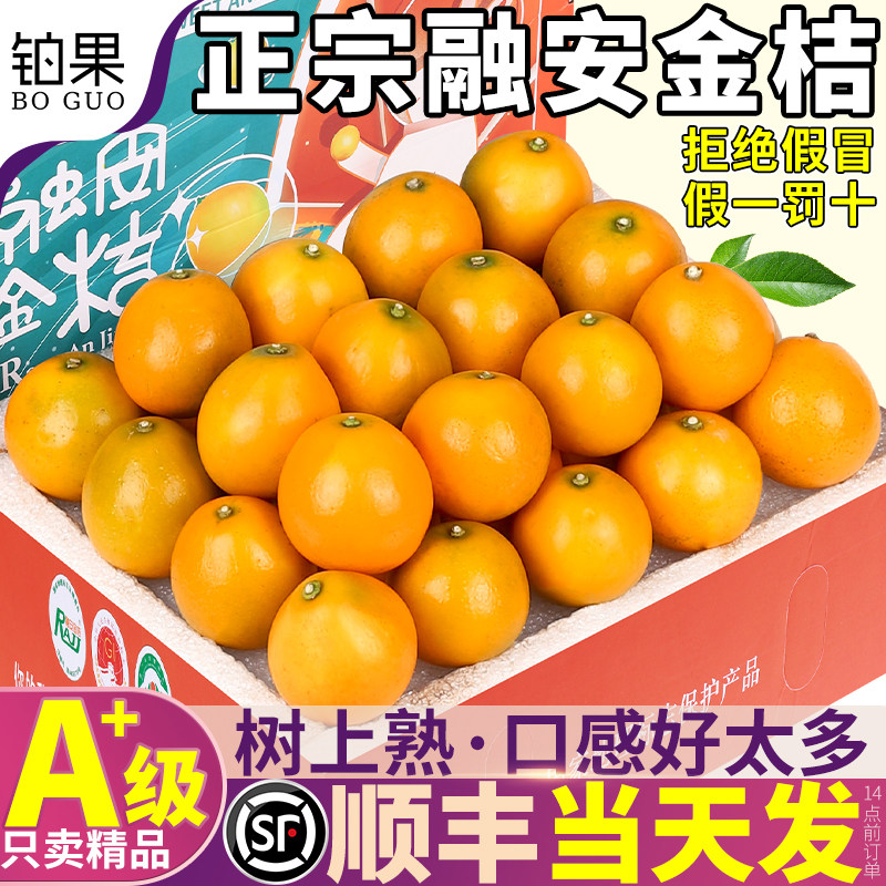顺丰礼盒 5斤正宗广西融安金桔鲜果当季新鲜水果金柑橘子整箱包邮,水产肉类/新鲜蔬果/熟食,桔子,淘宝优惠券,粉丝福利购,淘宝优惠卷