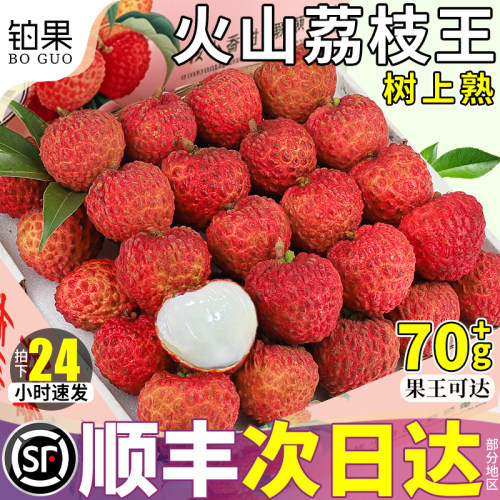顺丰次日达丨老树荔枝王10斤礼盒