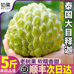 顺丰 5斤泰国大目释迦果新鲜现摘当季孕妇水果佛头摩尼刺果番荔枝
