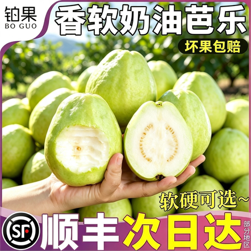 顺丰礼盒丨5斤软硬可选奶油芭乐