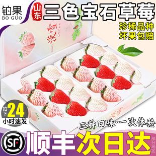 顺丰包邮 三色草莓新鲜水果礼盒白色草莓牛奶当季现摘淡雪丹山东