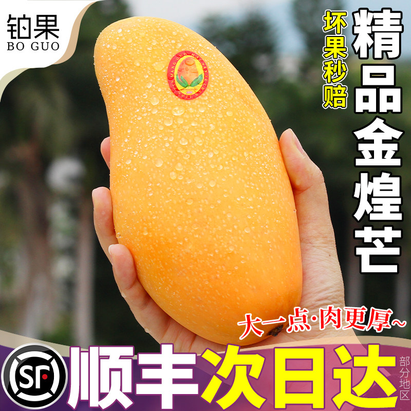 顺丰礼盒 18斤正宗金煌芒水果芒果新鲜特大小台鲜果当季整箱包邮