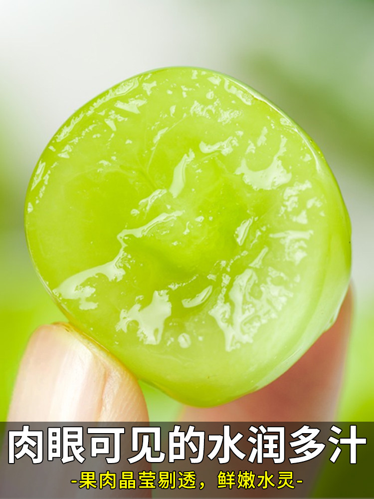 顺丰速达 5斤进口秘鲁青提无籽葡萄新鲜当季水果秋天脆甜整箱包邮