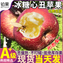 包邮 大凉山丑苹果10斤新鲜苹果冰糖心平果当季 孕妇水果红富士