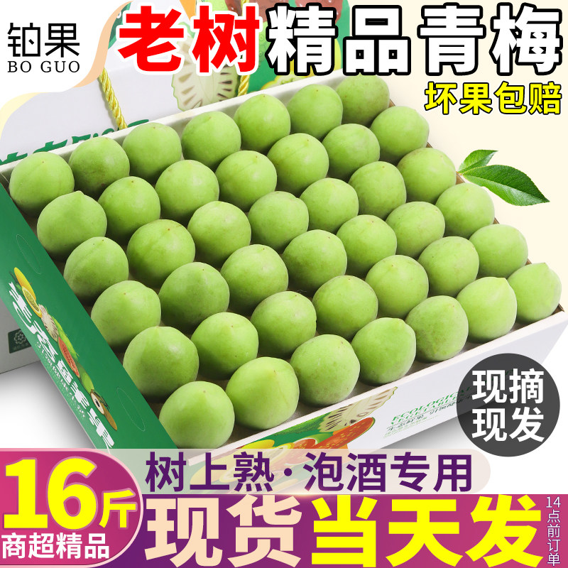 顺丰15斤福建诏安青梅鲜果泡酒专用现摘小白胭脂梅子当季整箱包邮