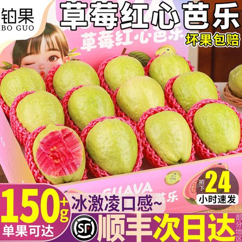顺丰次日达|软糯香甜|红心芭乐
