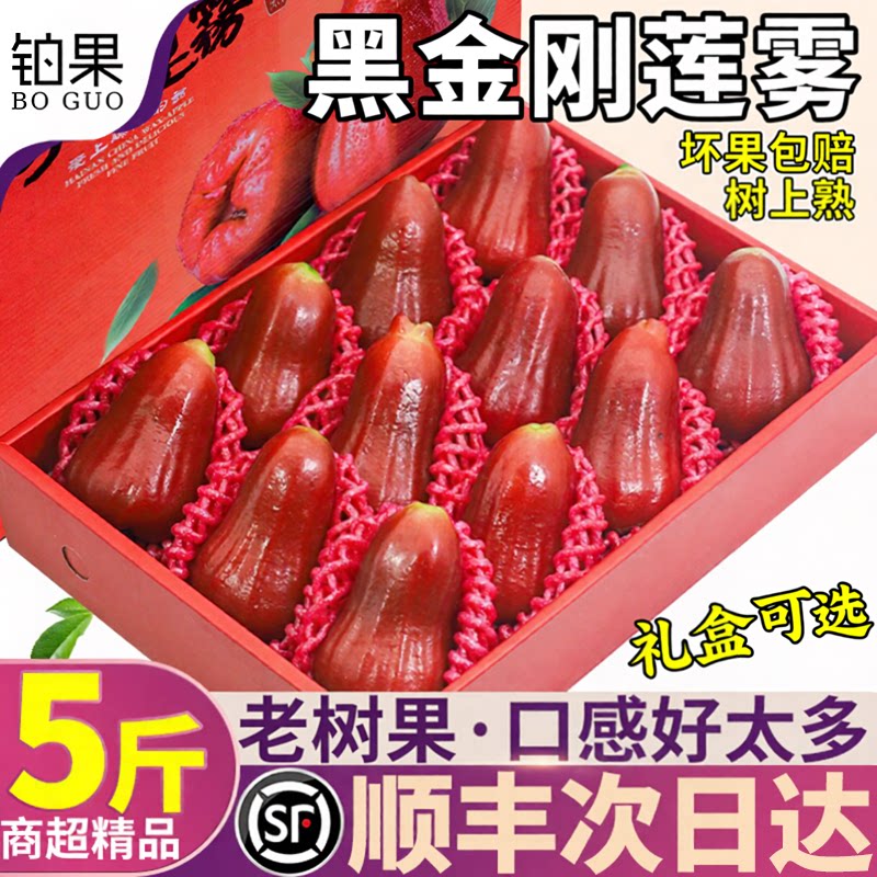 顺丰礼盒 5斤海南黑金刚莲雾新鲜水果特大果清甜现摘当季整箱包邮
