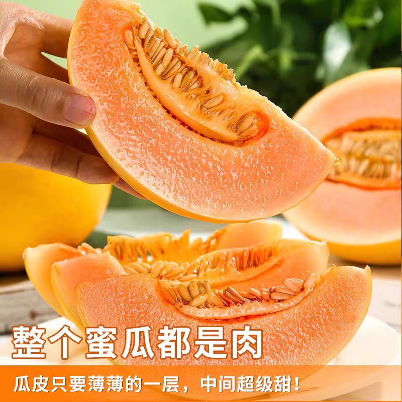 顺丰次日达丨正宗民勤蜜瓜高品质