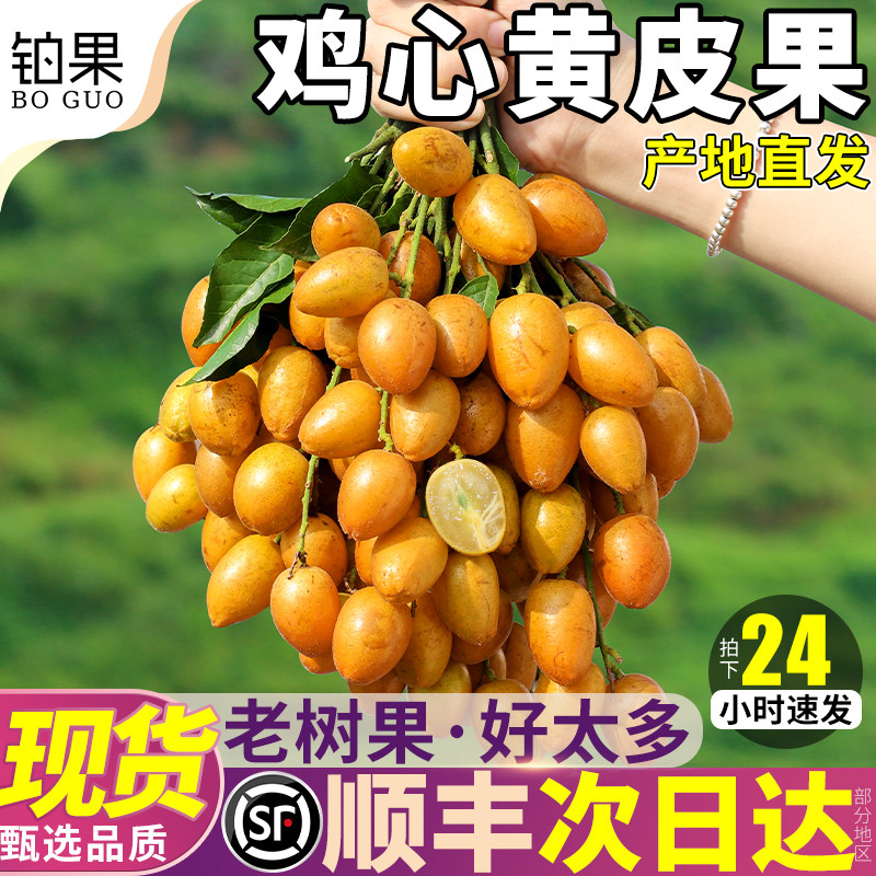 10斤广东整串鸡心黄皮果新鲜黄弹子孕妇水果鸡心冰糖当季整箱包邮