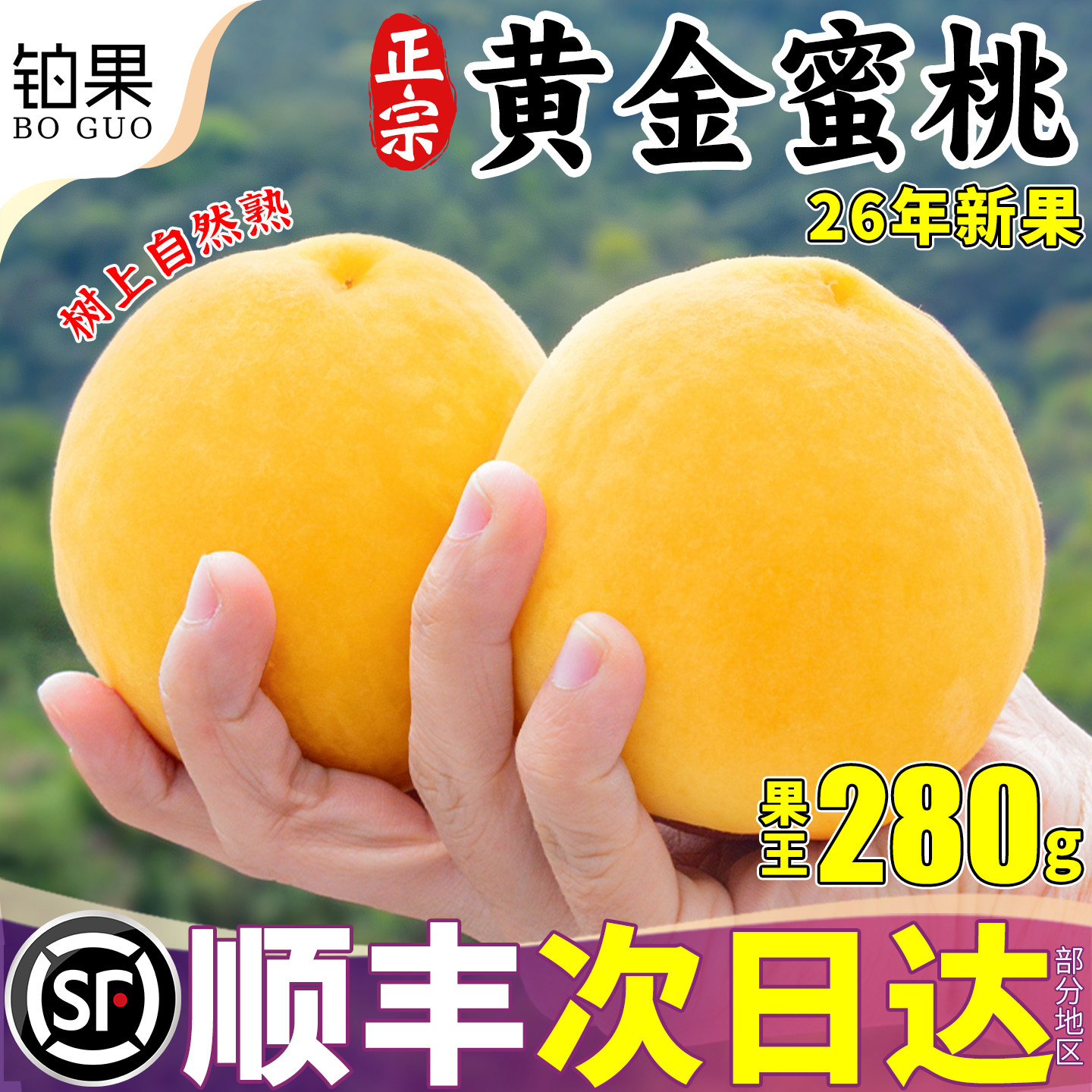 顺丰黄桃新鲜桃子水果应季时令整箱5斤水蜜脆桃现摘现发孕妇包邮
