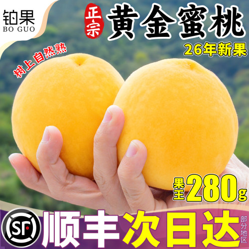 顺丰次日达丨树上成熟丨包熟包甜