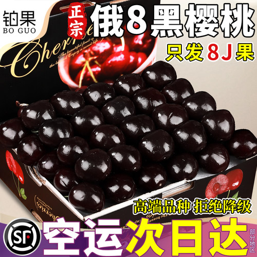 空运次日达丨俄8黑樱桃更大更甜