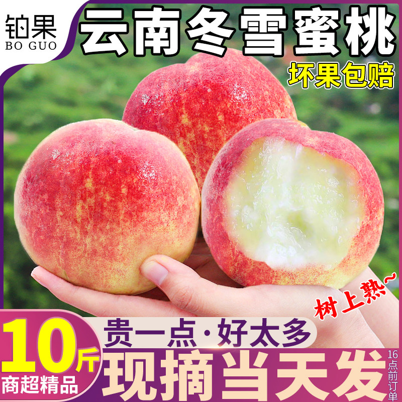 1500g A+�����̳������ͷ���ʹ�,��ժ�ַ� ��Ʒ�ش��|���϶�ѩˮ����