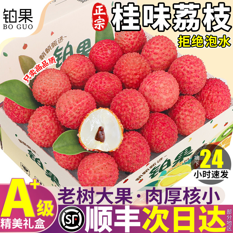 顺丰次日达丨5斤桂味荔枝礼盒