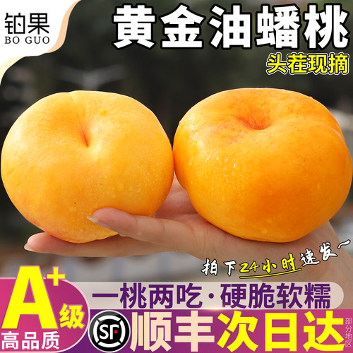 顺丰次日达丨黄金油蟠桃5斤礼盒