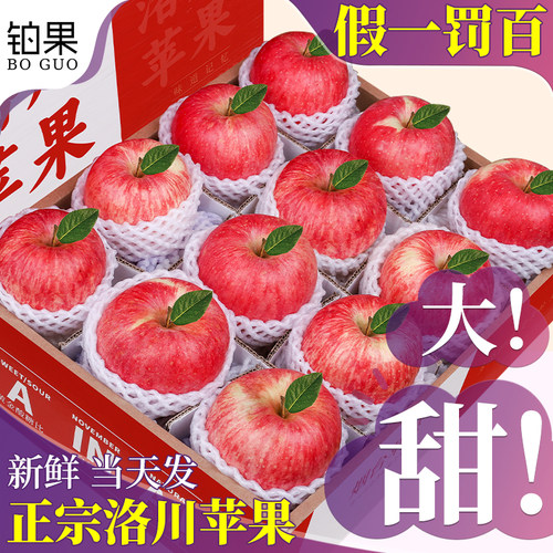 顺丰当天发|中秋礼盒|洛川红富士