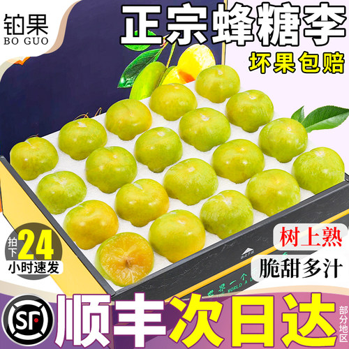 空运次日达丨正宗蜂糖李甜如蜂蜜