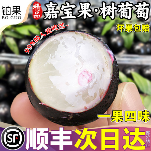 顺丰次日达丨5斤嘉宝果树葡萄