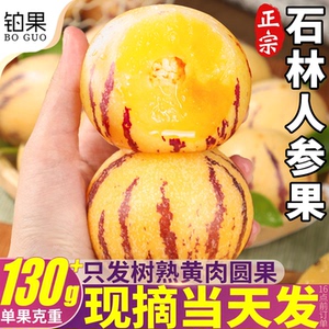 礼盒装|自然熟石林人参果黄肉