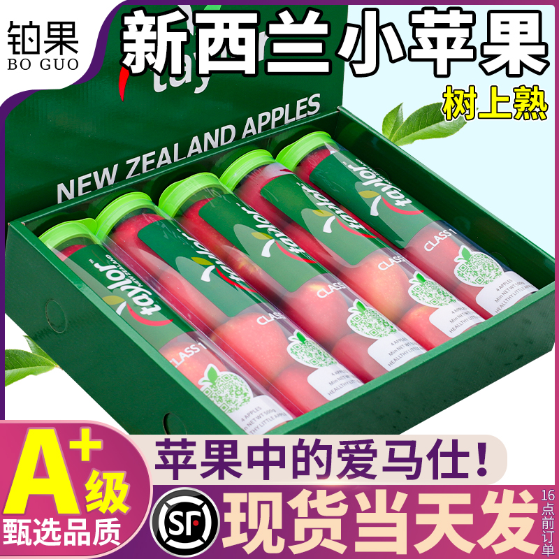 顺丰礼盒 新西兰进口苹果新鲜小苹果水果高端整箱当季脆甜嘎啦5筒
