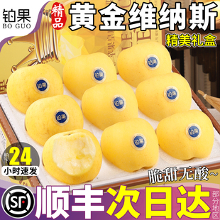 顺丰礼盒10斤山东维纳斯黄金苹果新鲜水果应季富士时令丑整箱包邮