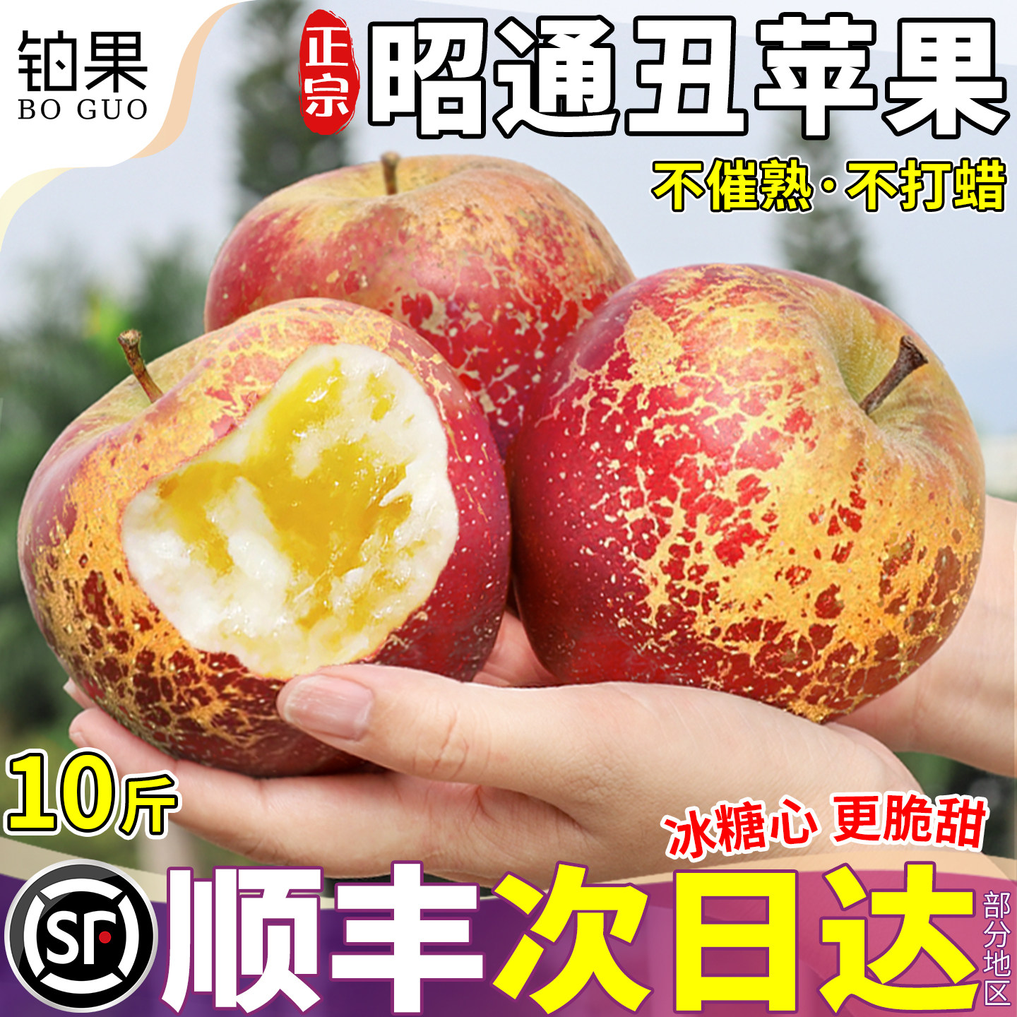 现摘当天发|产地授权|2026新果