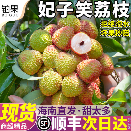 顺丰次日达丨妃子笑荔枝精美礼盒