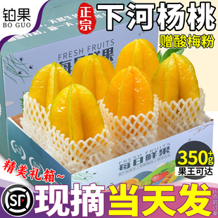 顺丰大果10斤下河杨桃新鲜水果鲜果树上熟洋桃应季现摘甜整箱包邮