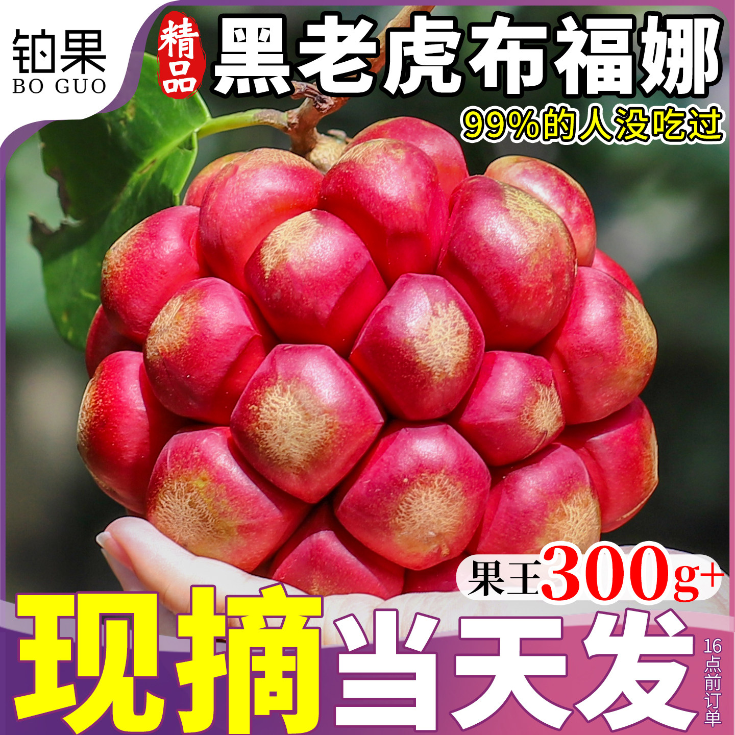 黑老虎布福娜99%的人没吃过