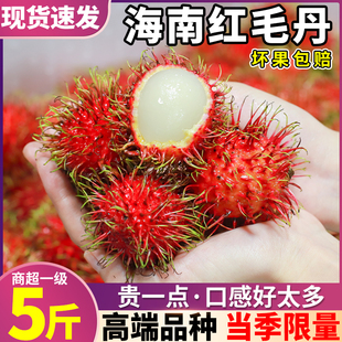 顺丰礼盒 海南红毛丹新鲜水果毛荔枝5斤红牡丹甜鲜果时令整箱包邮