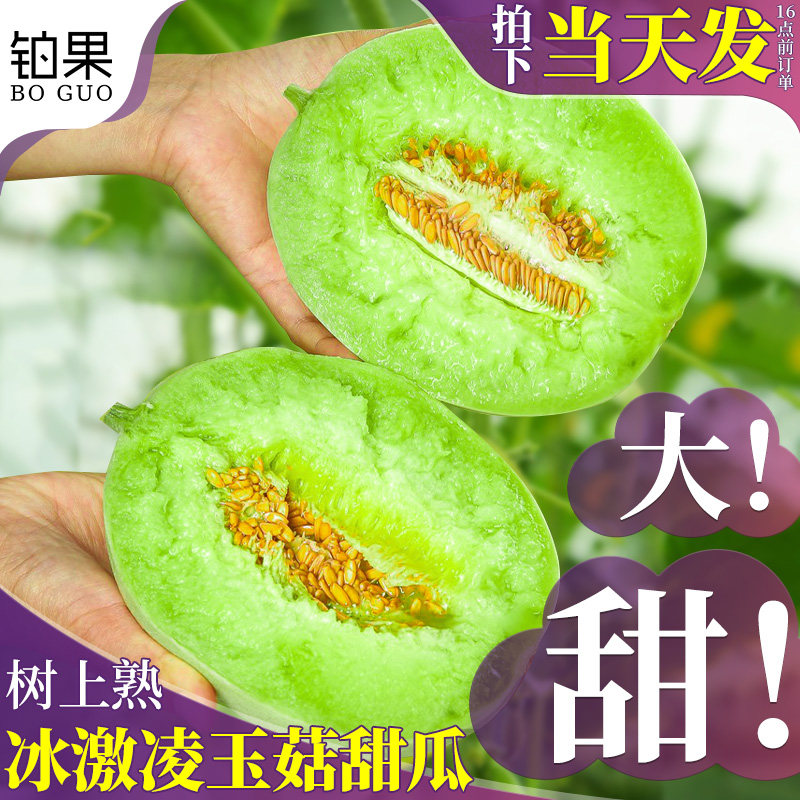 正宗9斤山东玉菇甜瓜冰激凌蜜瓜新鲜应季水果香瓜绿宝石整箱包邮