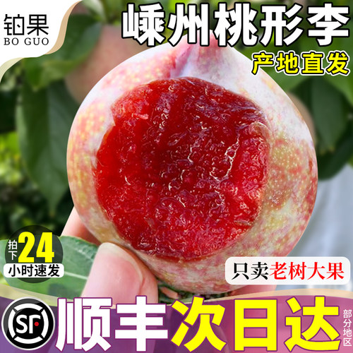 顺丰次日达丨正宗嵊州桃形李脆甜