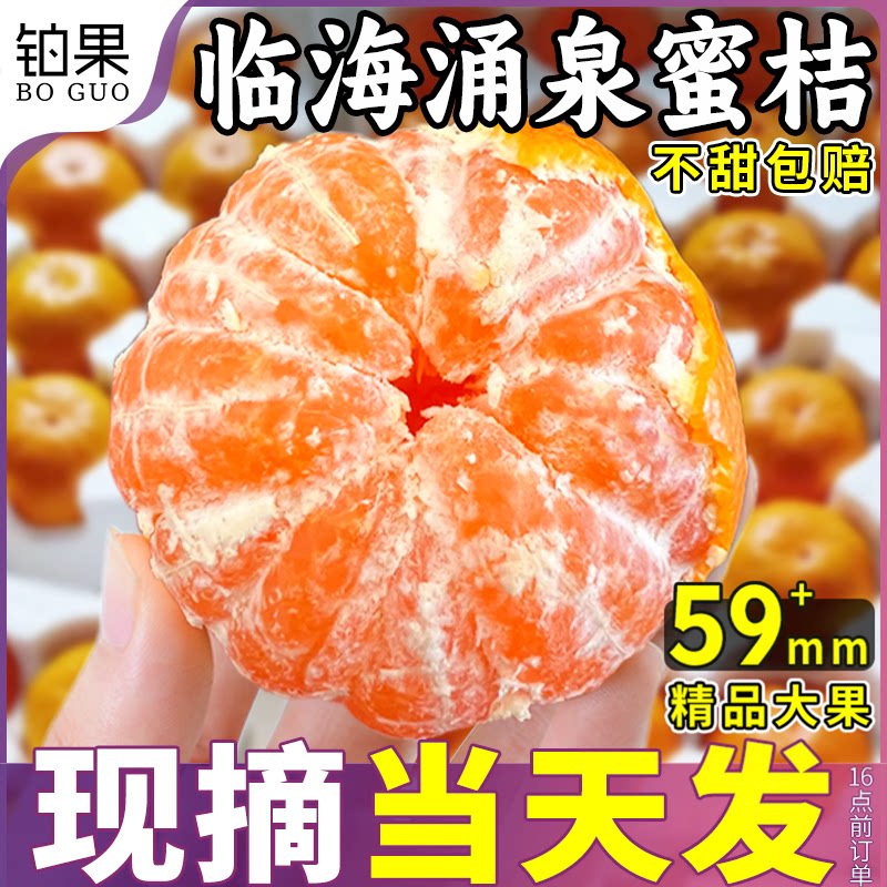 当季现摘正宗涌泉蜜桔香甜多汁