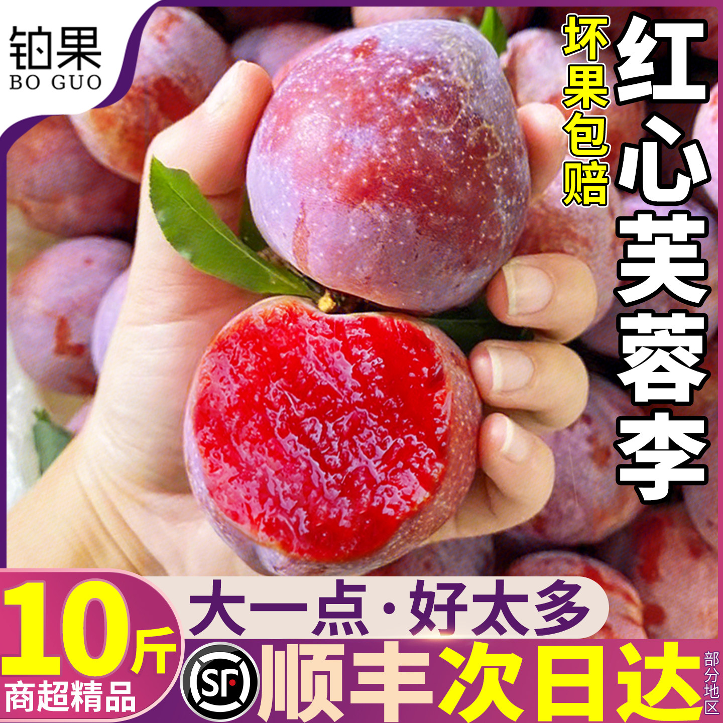 下单现摘树上熟芙蓉李顺丰次日达