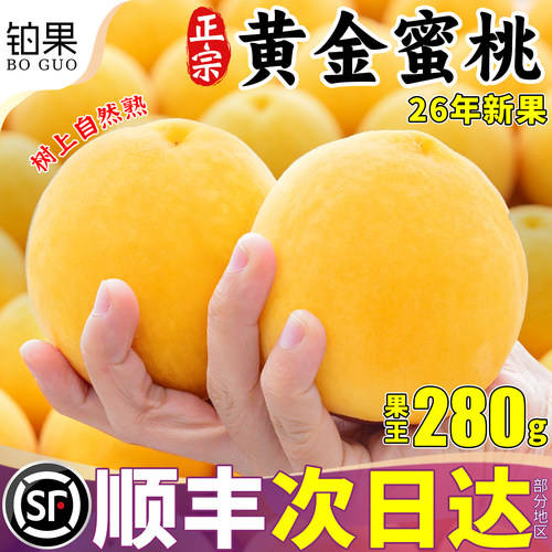 顺丰次日达丨树上成熟丨包熟包甜