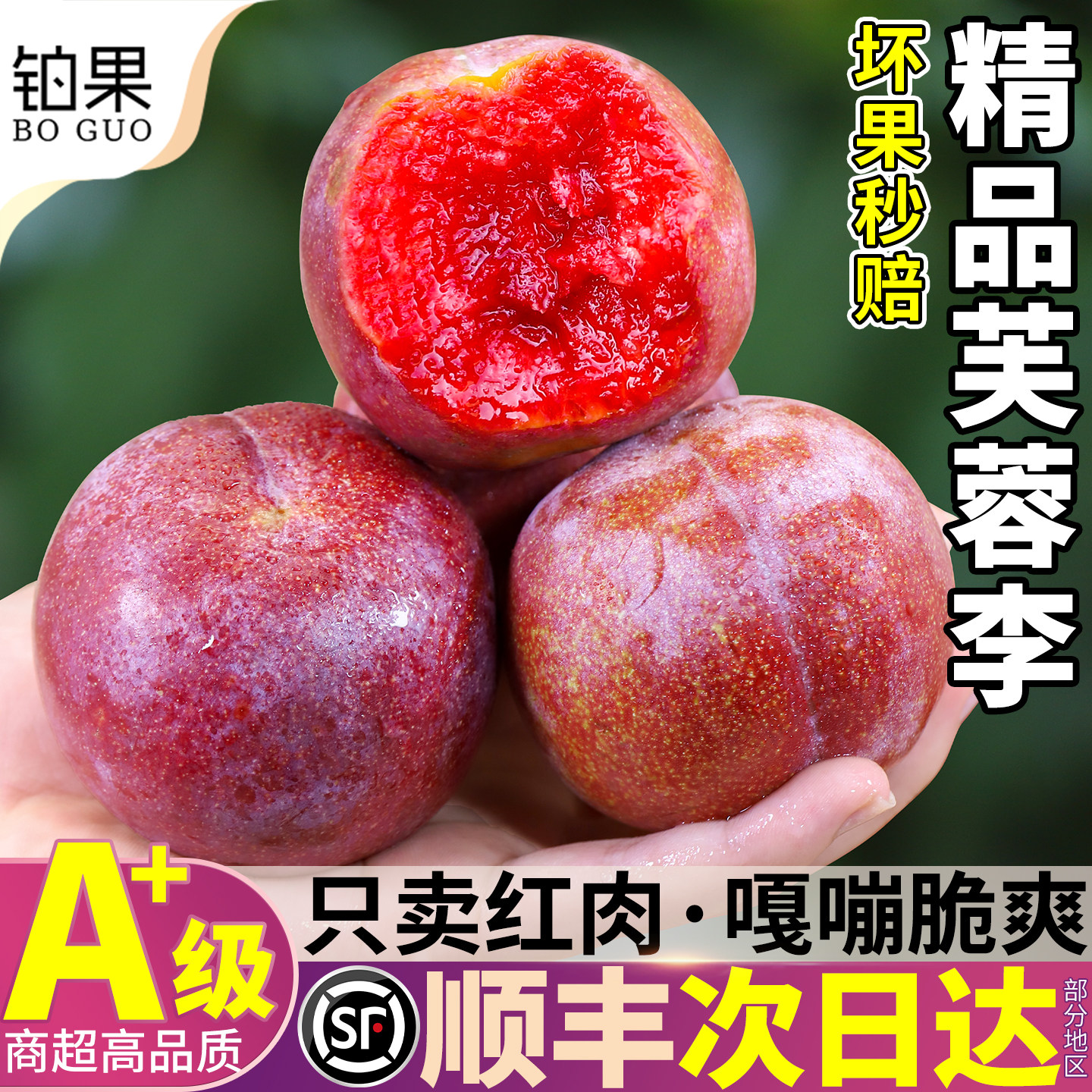 顺丰次日达丨树上熟红心芙蓉李