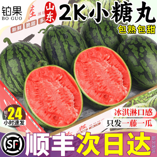 顺丰次日达丨山东2k小糖丸西瓜甜