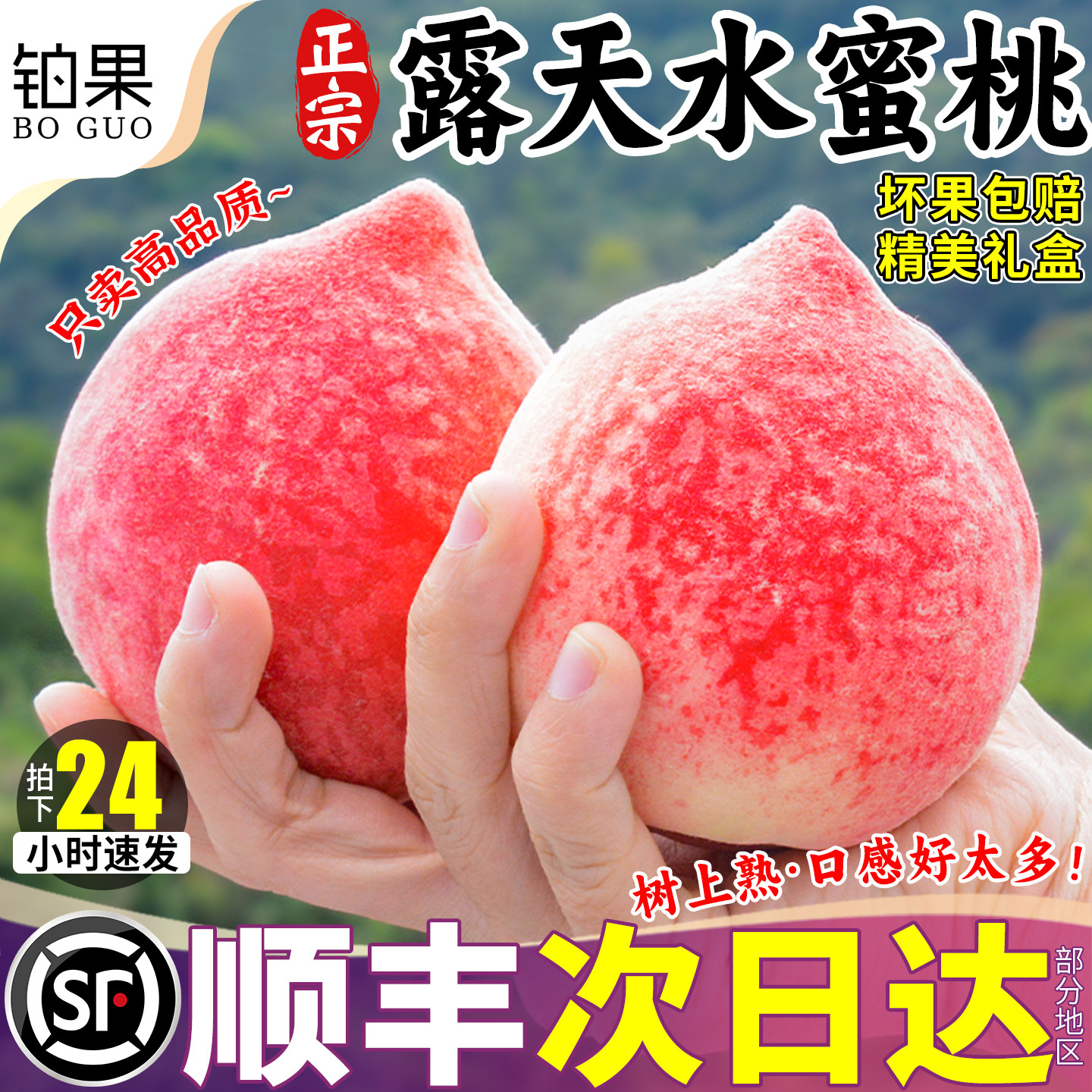 顺丰次日达丨5斤山东水蜜桃礼盒