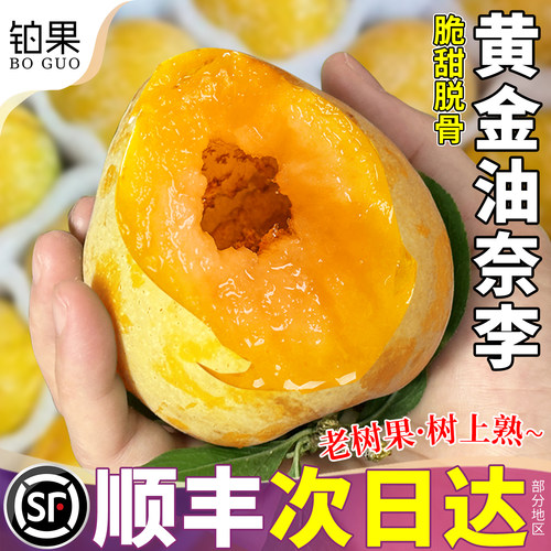 顺丰次日达|黄金油奈李脆甜