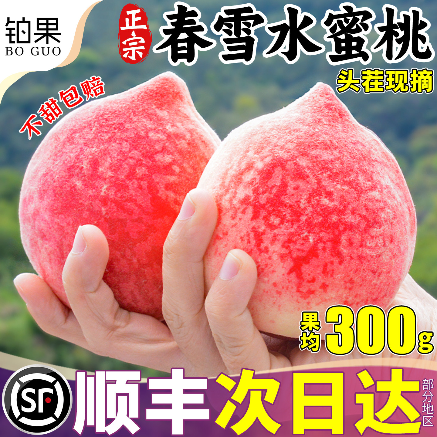 顺丰次日达丨正宗春雪水蜜桃大果