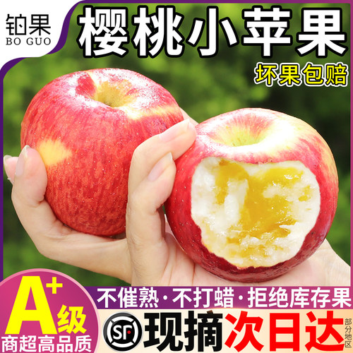 顺丰次日达丨冰糖心樱桃小苹果