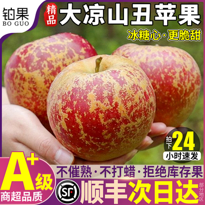 顺丰次日达丨正宗大凉山丑苹果