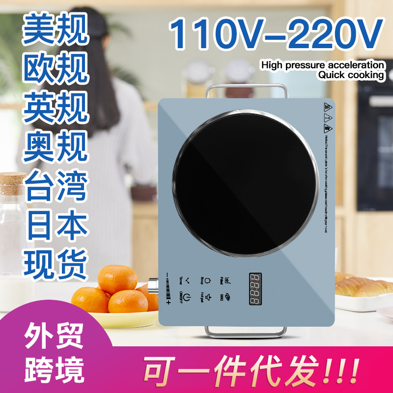 跨境出口外贸110V-45060H