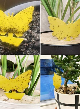 10 Pcs Sticky Fly Trap Yellow Dual-Sided Gnat Glue Trapper S