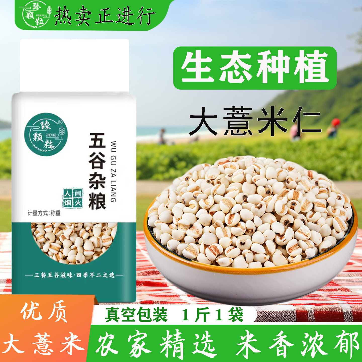山姆冠名正宗薏米仁新货特级优质米仁贵州兴仁大薏仁商用豆浆五谷