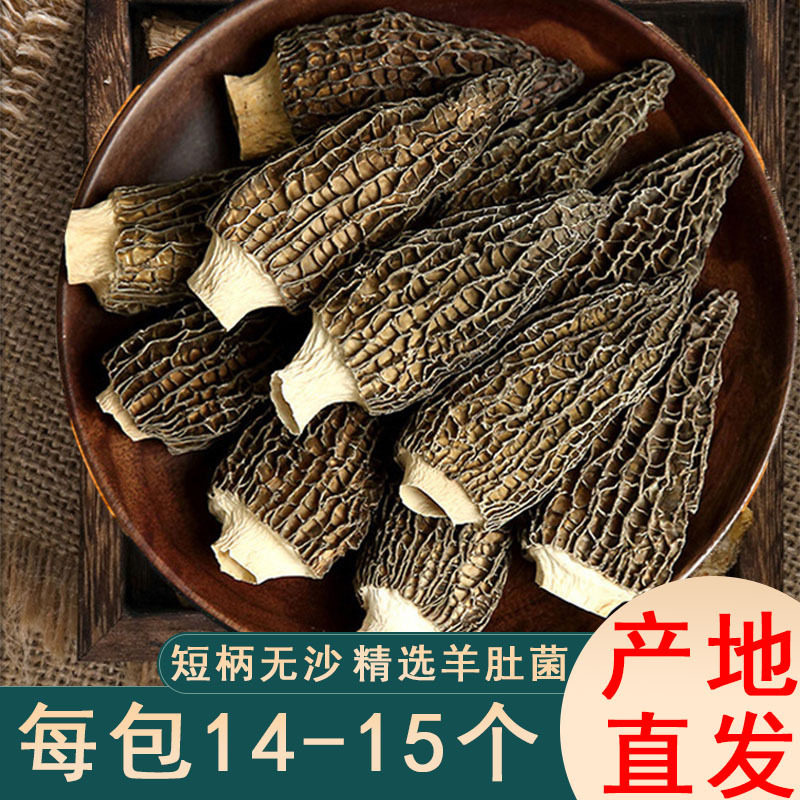 山姆冠名新鲜羊肚菌干货古田菌子羊肚菌特产级煲汤食材牛肚菌菌菇