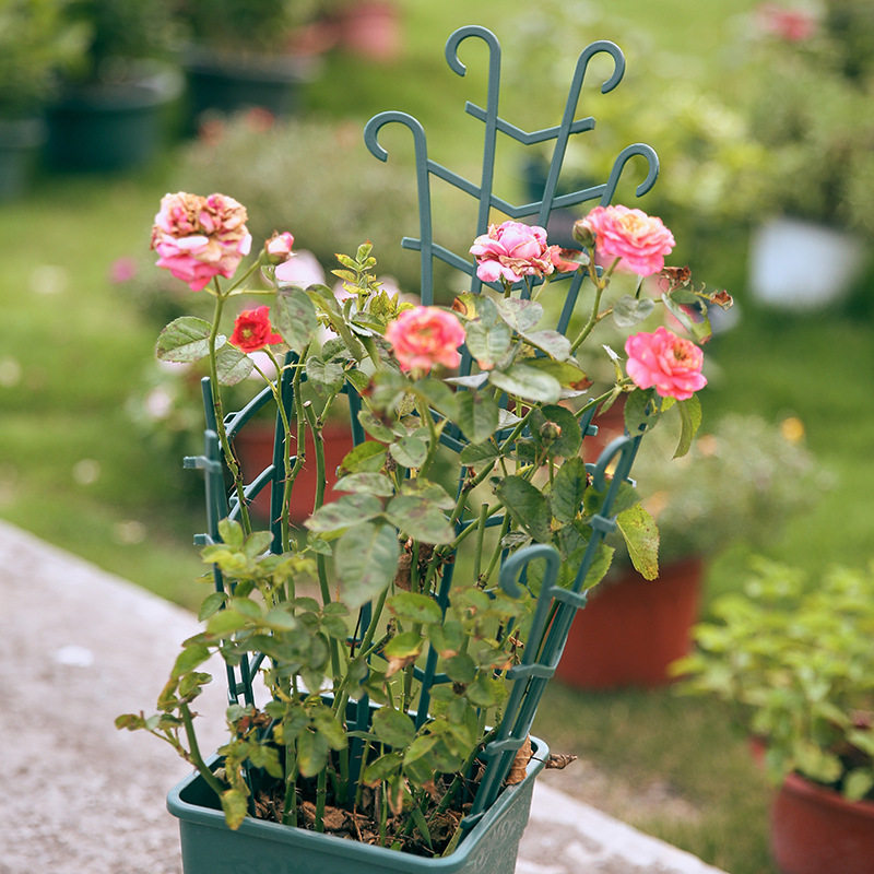 塑料园艺花架爬架 可diy拼接月季支撑架爬藤架子花架