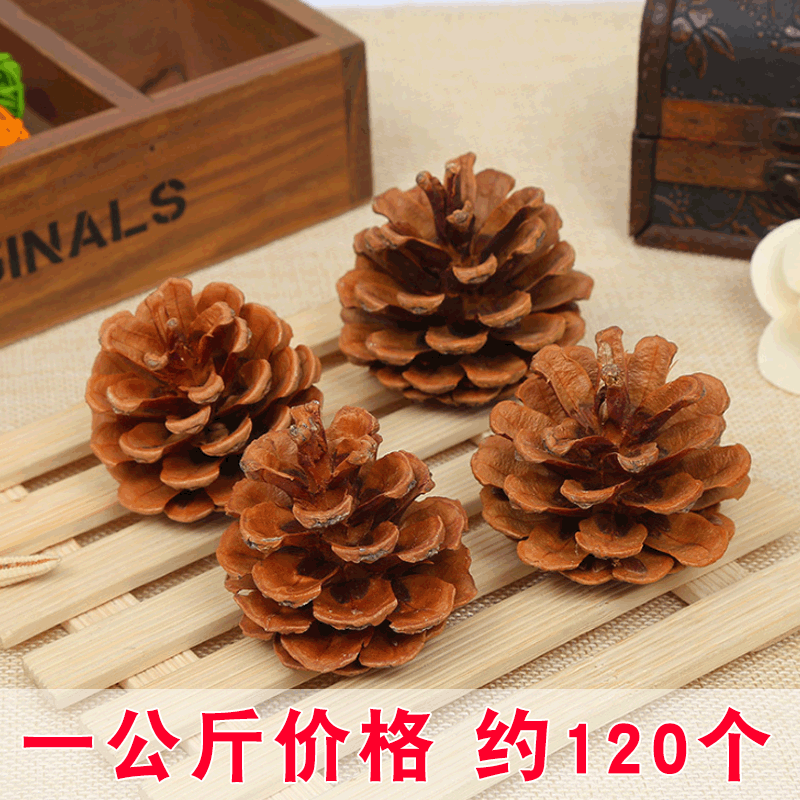 人工挑选油松拍照道具幼儿园手工材料圣诞松果吊饰北方松果 1kg价