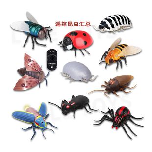 新奇遥控蟑螂仿真红外线电动蜘蛛整蛊摇控蚂蚁动物玩具模型