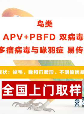 鸟禽双病毒喙羽症多瘤病 APV PBFD 病毒检测拔毛 pcr 准确率 99%